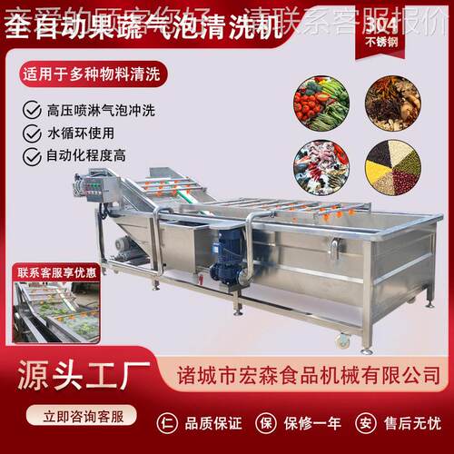 全自动荔枝柿子气泡清洗机酱菜脱盐芹菜洗菜机蓝莓瓜果气泡清洗机