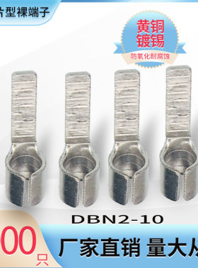 DBN2-10片型冷压裸端子片形铜鼻子线耳接线头插片式插针式黄铜