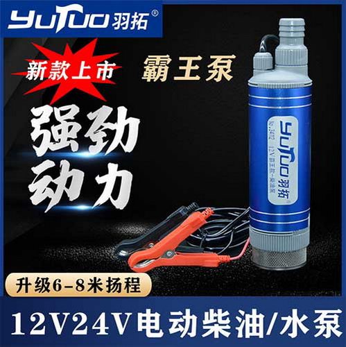 羽拓大功率12V迷你抽油泵120W霸王泵24V抽柴油电泵抽水泵油抽子