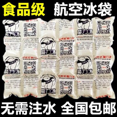 干冰冰袋重复使用家用商用摆摊航空快递冷冻海鲜保鲜自动吸水保冷