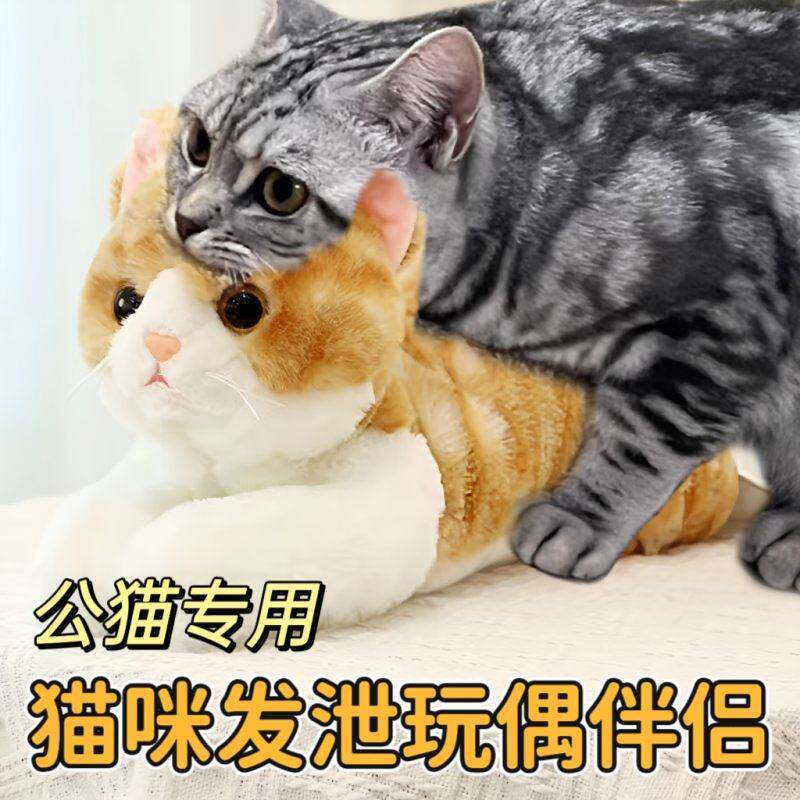 猫咪泻火公猫发情期玩具