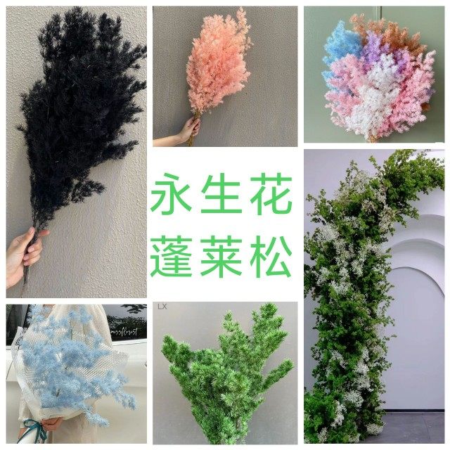 乾燥花永生蓬莱松雾状蓬松花艺软装花艺美陈婚庆布置咖啡厅装饰