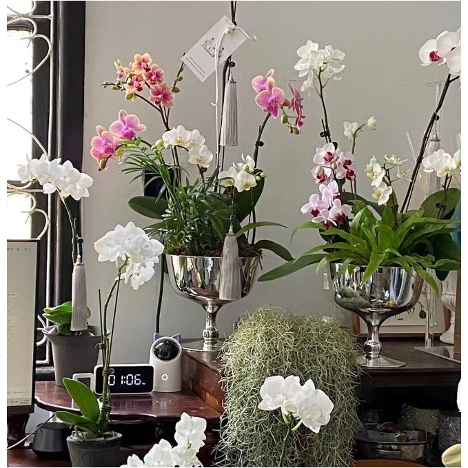 欧式高脚银色玻璃花瓶摆件 镜面电镀银花器客厅餐桌摆件装饰品
