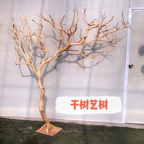 去皮干树枝造景干枝树干许愿树枯树室内造型树枝干原木树枝装饰树