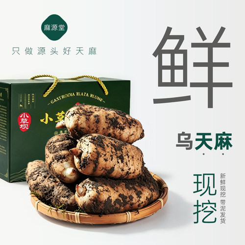 【麻王果礼盒】正宗昭通新鲜天麻