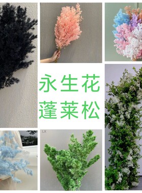 乾燥花永生蓬莱松雾状蓬松花艺软装花艺美陈婚庆布置咖啡厅装饰