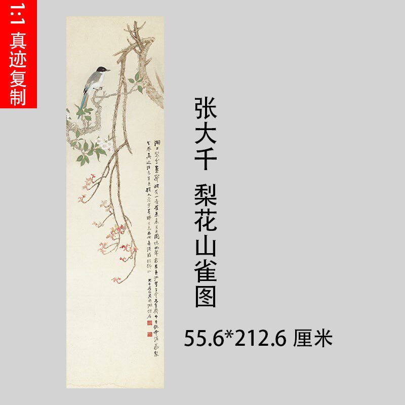 1:1张大千梨花山雀图真迹工笔花鸟国画微喷名画复制品客厅装饰