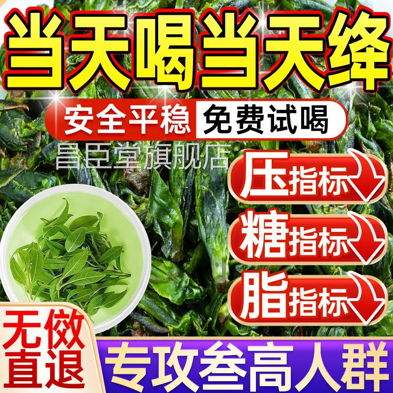 小叶苦丁茶2026正宗高山新茶功效舰特级嫩芽苦茶正品野生官方旗店