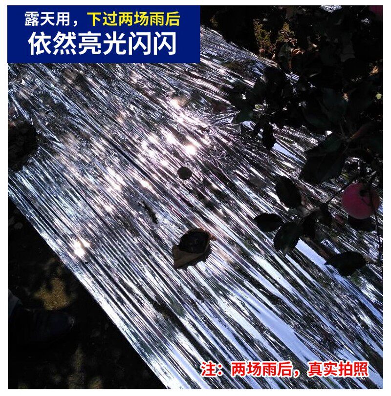 镀铝树果色银色反光膜果园无孔种植反射银色膜太阳光高亮水果上色