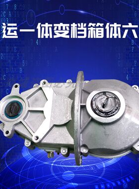 常运箱体差速包牙包差速器电动三轮后桥配件电机半轴6齿变档一体