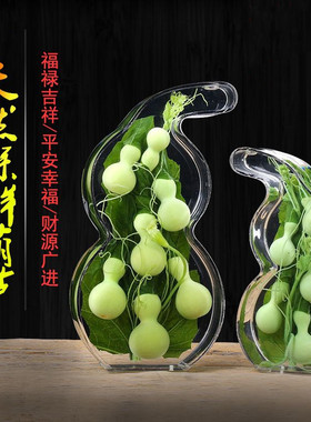 天然葫芦摆件保鲜绿色真葫芦玄关博古架礼品客厅办公室家用镶嵌平