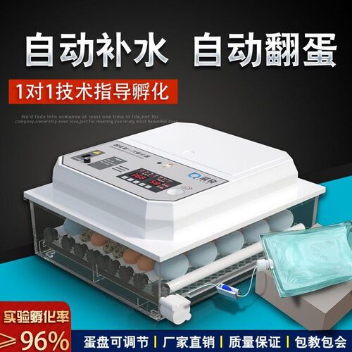 家用小型全自动孵化器鸡蛋孵化机孵蛋器抱鸡机器