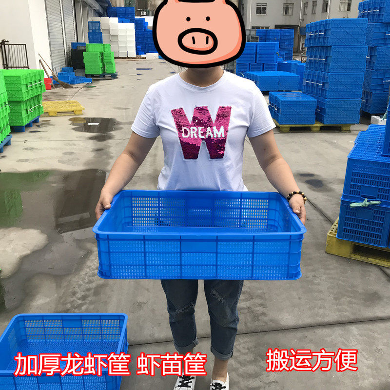 加厚密眼龙虾筐 长方形塑料周转筐 装虾苗的塑料筐子