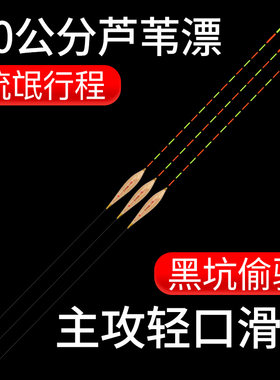 加长流氓漂黑坑鲤鱼漂高灵敏60cm芦苇鲫鱼漂加粗醒目湖库行程浮漂