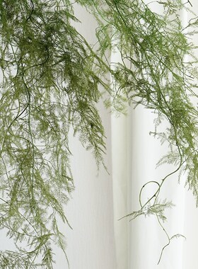 仙气文竹永生花干花花束悬挂婚庆花材造景树枝场景布置拍摄道具