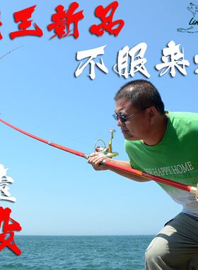 狼王龙啸九天 8H超硬碳素长节远投竿锚鱼杆 4.5米海竿套装 抛甩竿