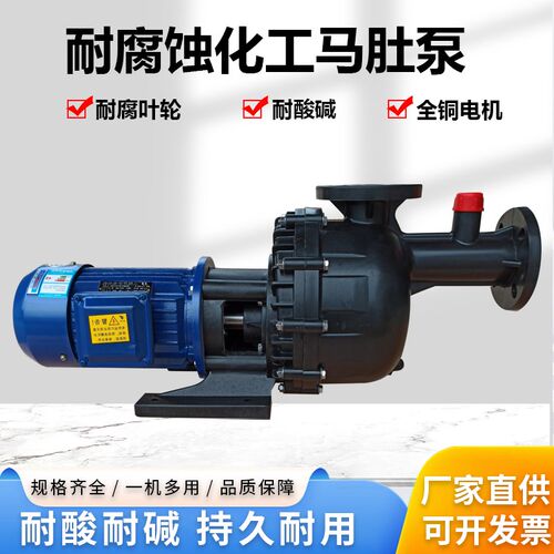 长美马肚泵塑料化工泵电镀过滤机水泵大头泵卧式耐酸碱自吸泵380V
