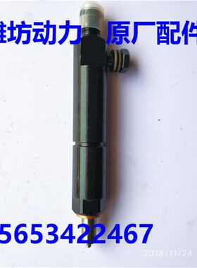 潍坊潍柴华丰R4105ZD 4RMAZG R6105 6110 喷油器 喷油嘴总成 配件