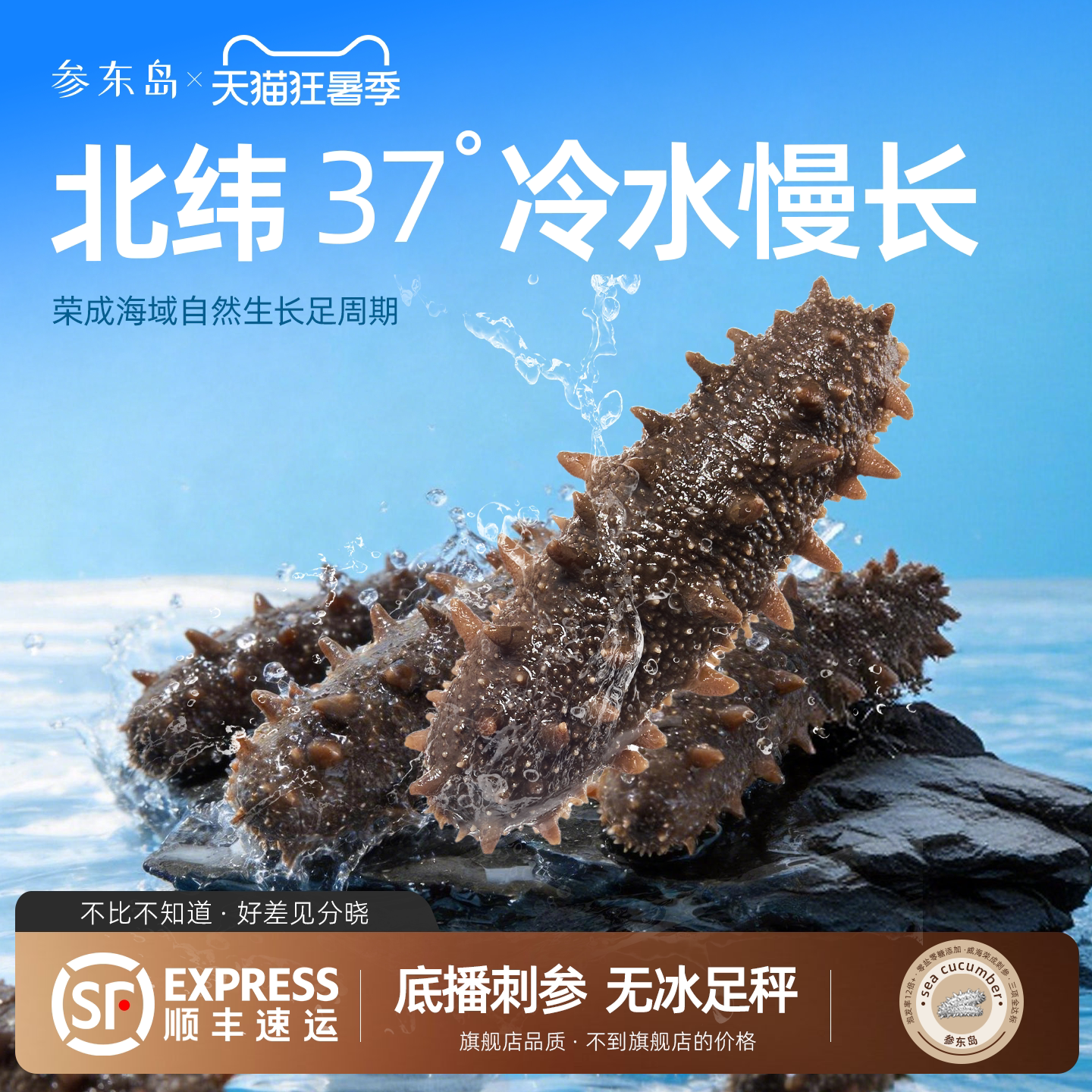 高品质9年即食野生刺参送礼1500g