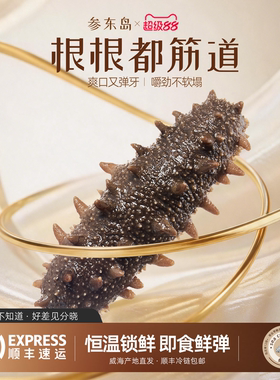 山东荣成即食海参鲁参独立装滋补