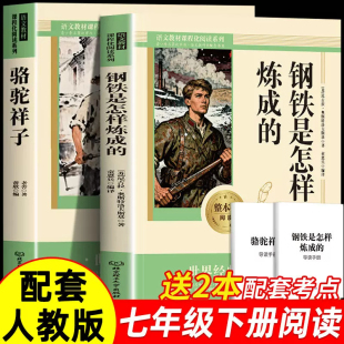 骆驼祥子+钢铁是怎样炼成的原著必读名著