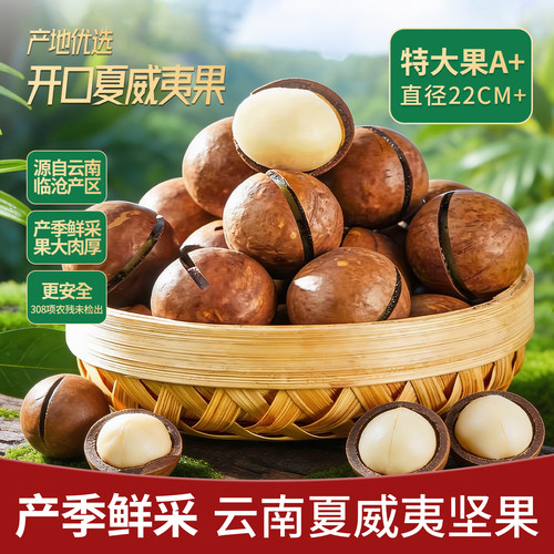 云南夏威夷果无添加大颗粒新鲜
