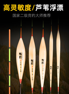 龙王恨炼匠新款芦苇浮漂高灵敏鲫鱼漂加粗醒目漂鲤鱼混养芦苇鱼漂