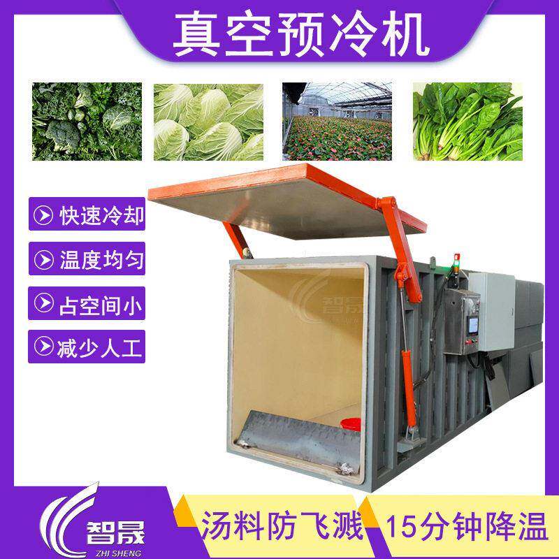 果蔬预冷机蔬菜锁鲜冷却机快速降温果蔬真空打冷机油菜预冷机