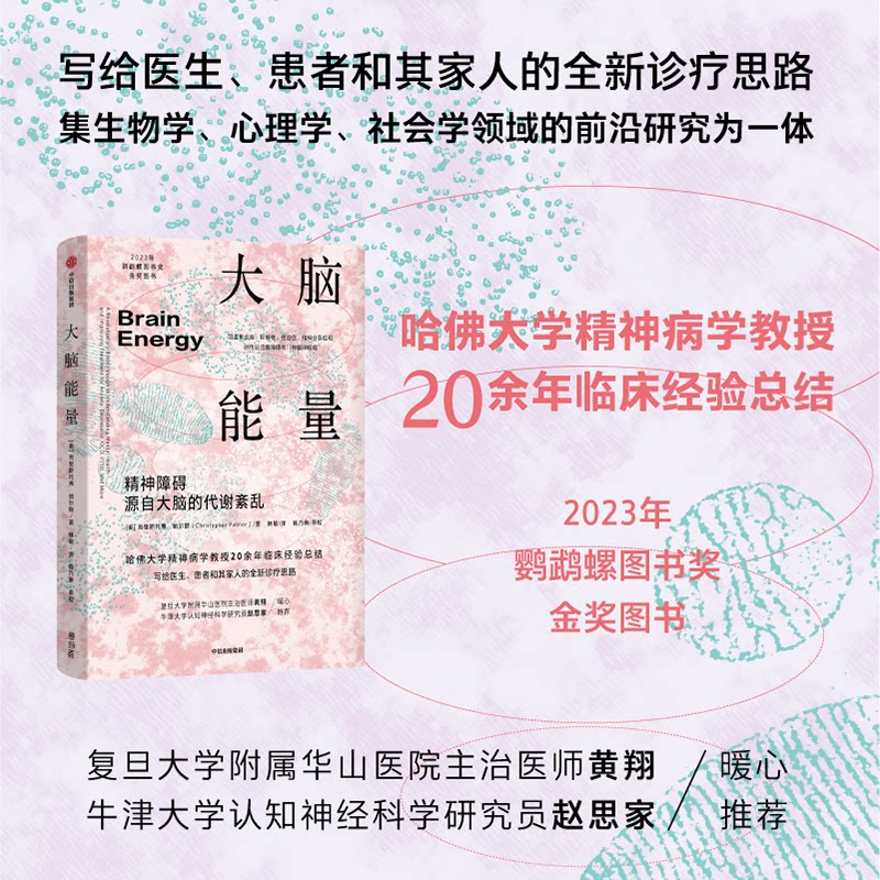 【正版】大脑能量 大脑潜能开发 科学提升脑能 思维训练 专注力提升法 认知能力优化 情绪调节技巧9787521763775