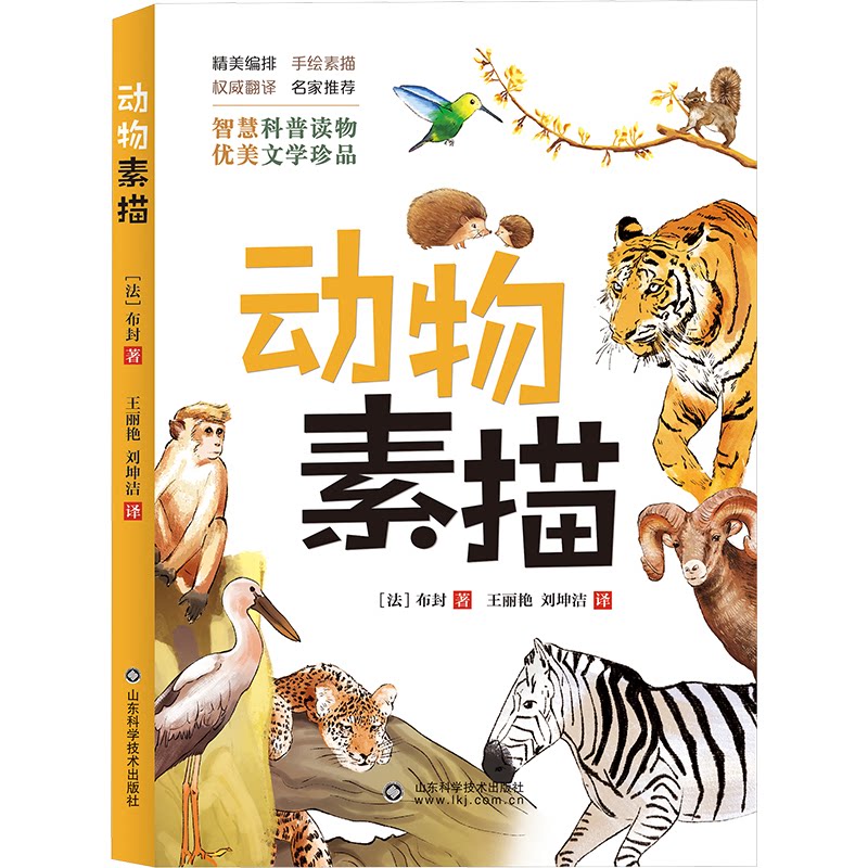 【正版】动物素描 动物素描入门 基础技法详解 全彩插图解析 多种动物画 艺审美提升 手绘爱好者 经典作品赏析 9787572310973