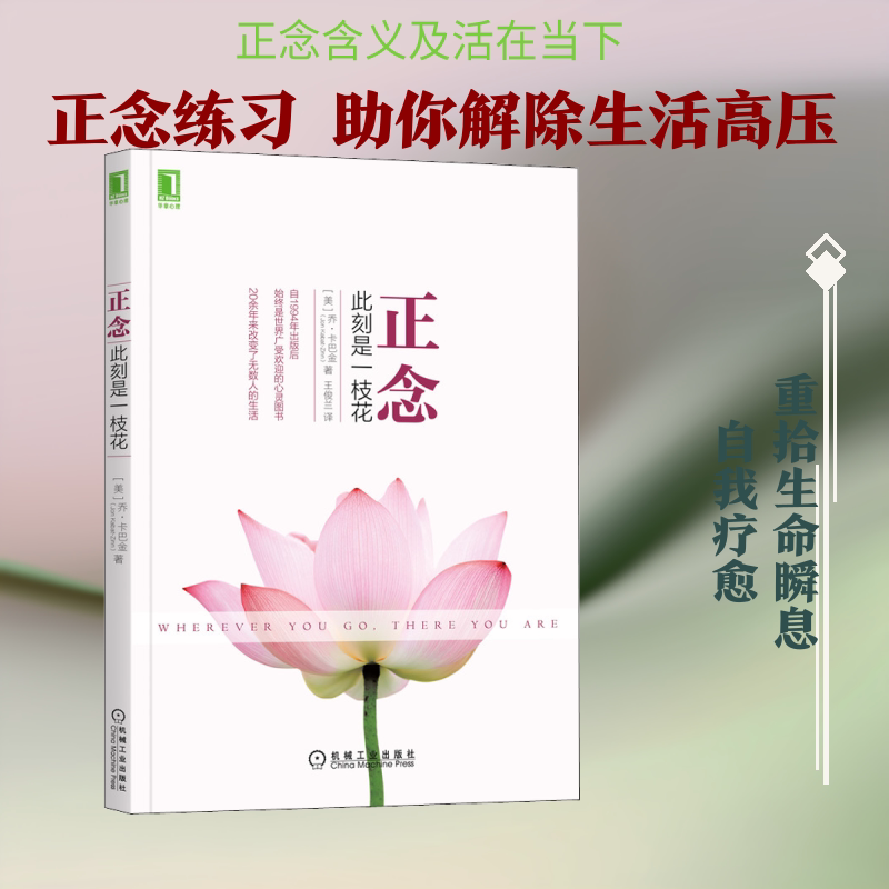 【正版】正念 此刻是一枝花 心理学教授著 情绪管理减压书 学生专注力提升 职场人心灵治愈 精美插画 9787111499220