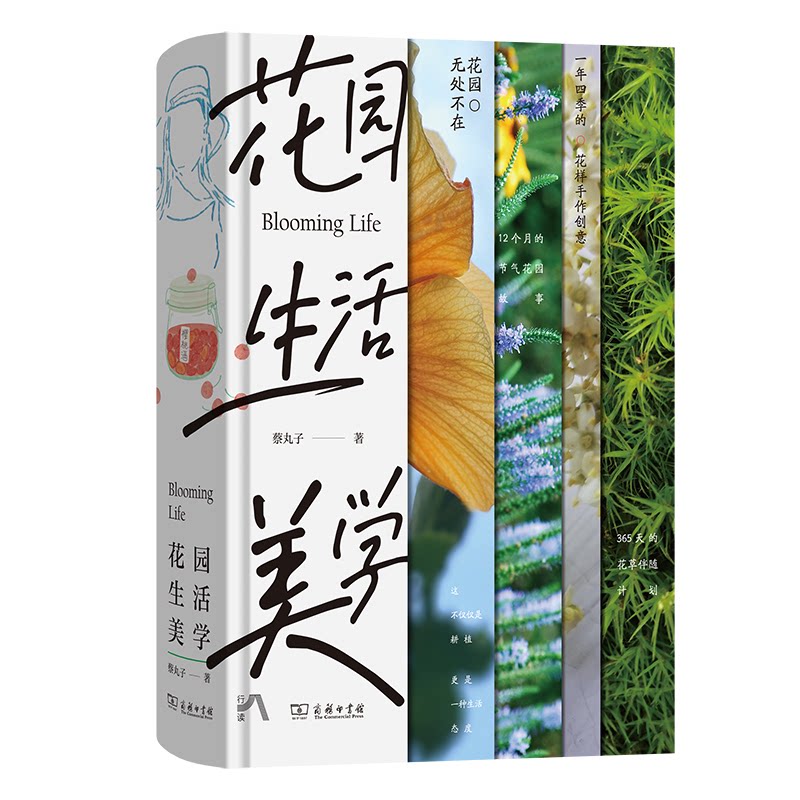 【正版】花园生活美学 新手园艺设计指南 300+精美插图 家庭小空间造花园 实用技巧手册 作者 ISBN9787100249010