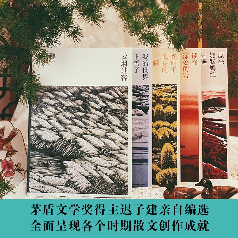 【正版】迟子建散文典藏(全5册) 迟子建散文 全5册典藏 文学经典 细腻情感 自然描写 故乡记忆 心灵慰藉 散文精选 9787533963606