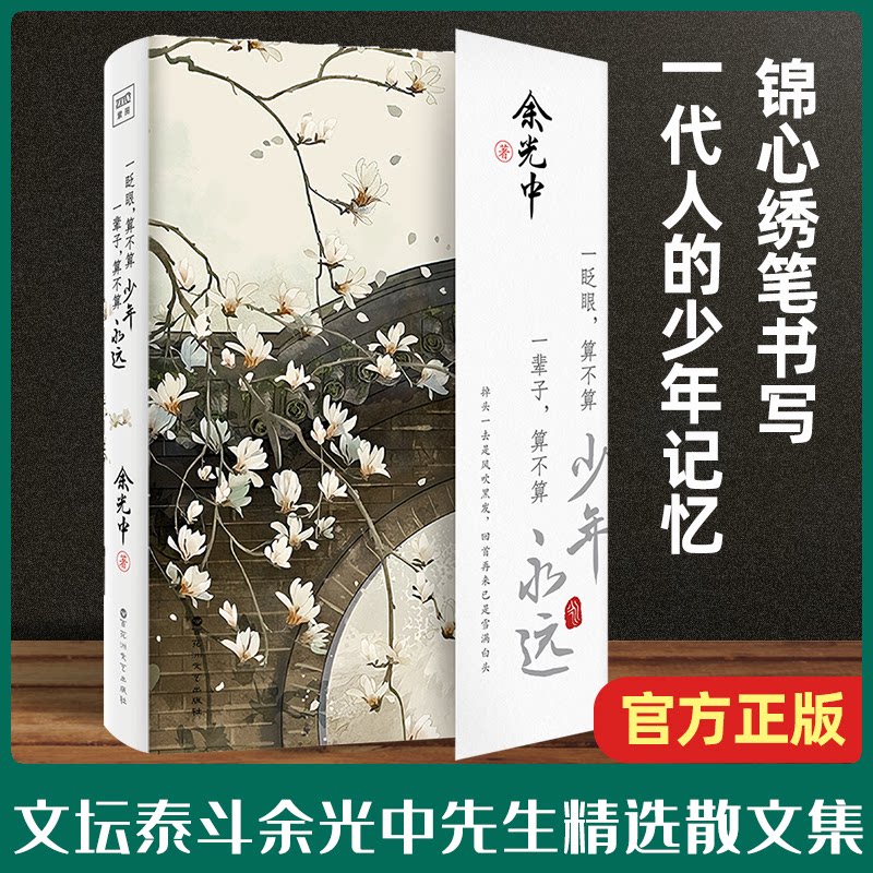 一眨眼,算不算少年 一辈子,算不算永远 青春回忆瞬间 人生哲理探讨 少年时光感悟 一辈子永远思考 情感治愈故事 9787550040540