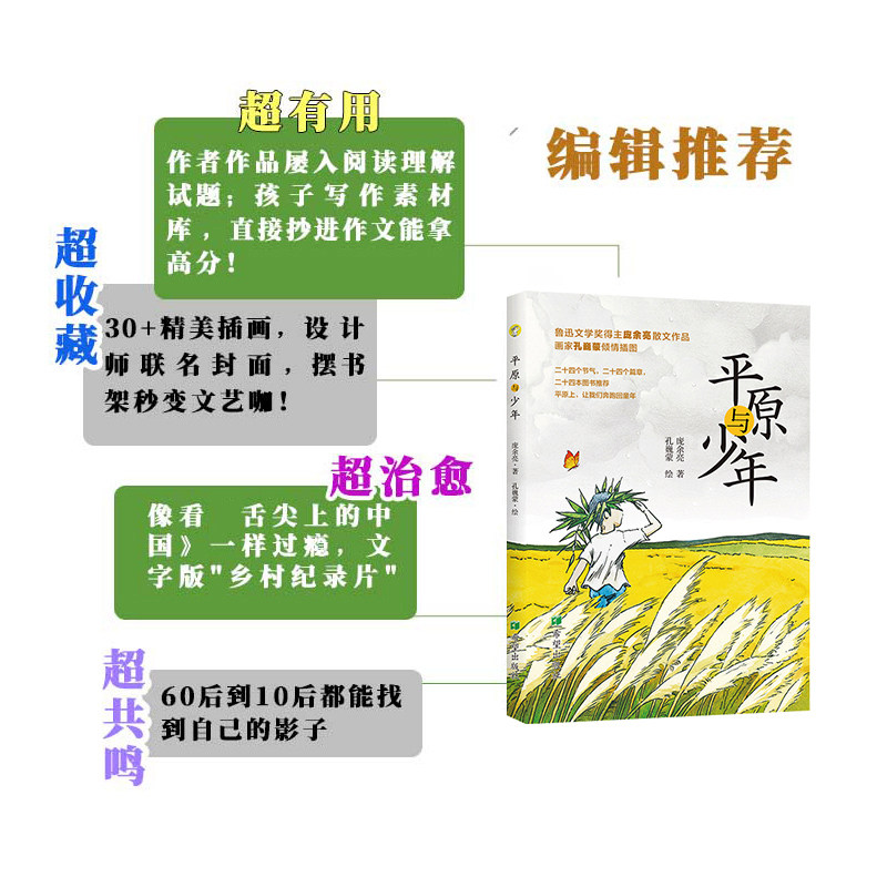 【正版】平原与少年 文学经典作品 成长故事集 少年视角解读 乡村生活描写 心灵成长历程 自然探索之旅9787537993456
