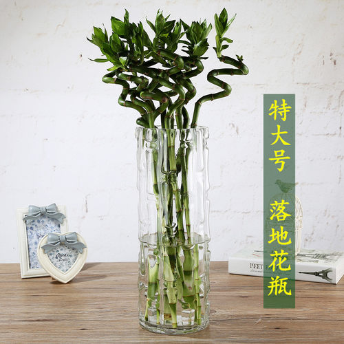 特大号落地水养百合银柳富贵竹花瓶摆件玻璃透明家用客厅插花装饰
