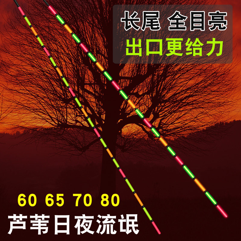 鲢鳙浮漂超醒目大物漂夜光高灵敏电子漂行程青鱼夜钓长尾巨物鱼漂