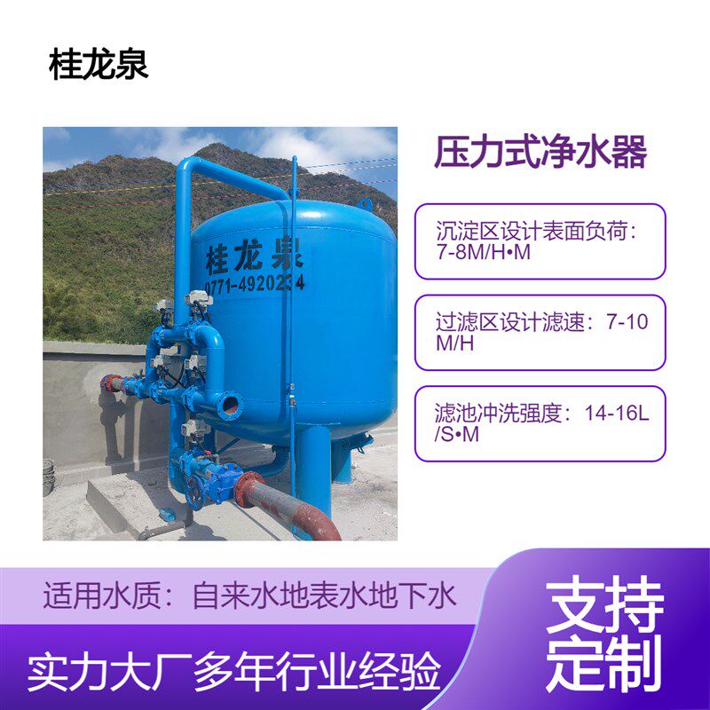 压力式 净水器 一体化净水设备 水处理设备 过滤设备 农村人饮