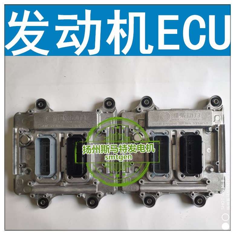 潍柴发动机电控系统电脑板ECU发动机线路插头发电机部分的线束