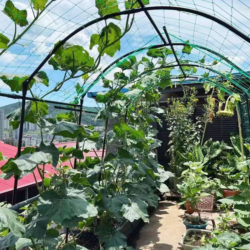 枝晓 20mm多功能丝瓜种植架 葡萄架猕猴桃葫芦南瓜大型果实架