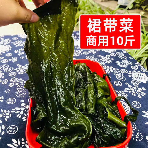 盐渍裙带菜10斤餐饮商用一整箱批发海带苗嫩芽裙带叶凉拌火锅食材