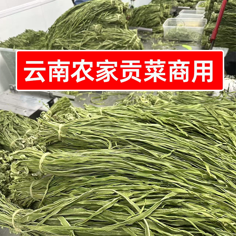 识蜀记精选云南农家贡菜商用一箱整干贡菜干苔菜火锅辣卤鸭脖食材