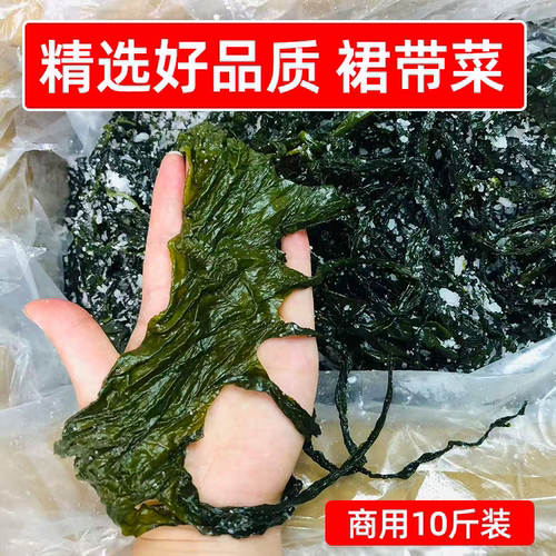 精选品质火锅专用裙带菜10斤整箱新鲜嫩海带苗商用裙带叶凉拌食材