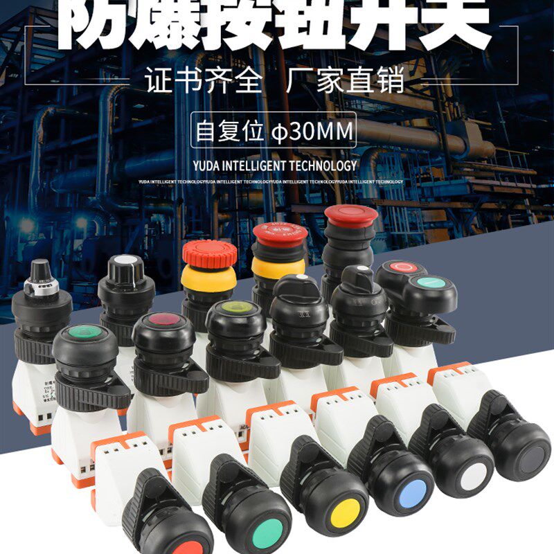 防爆按钮自复位自锁带指示灯旋钮两档三挡推拉蘑菇急停开关电位器图片