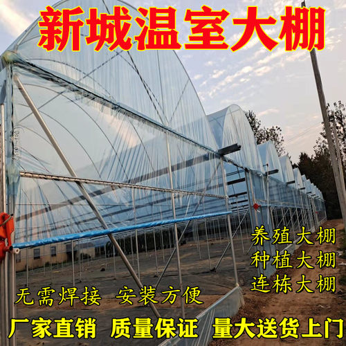种植大棚钢架大棚椭圆管大棚养猪棚养牛温室大棚养殖大棚全套骨架