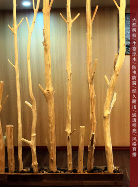 干树枝装饰天然枯木原木树干客厅玄关干枝隔断茶室幼儿园挂衣架