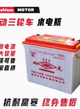 电动三轮车水电瓶牵引车堆高机大容量铅酸蓄电池12V60V280型大容