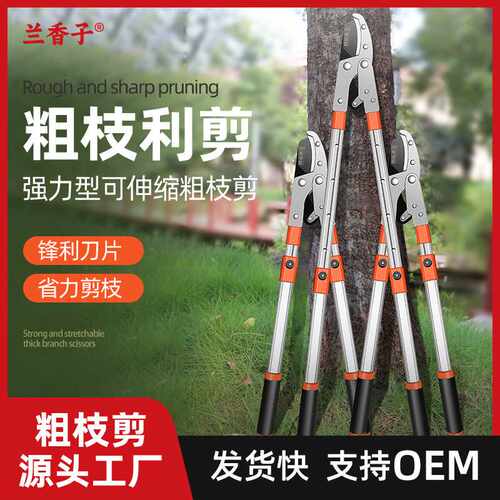 树枝剪园林剪树枝专用剪刀SK5伸缩杆粗枝果树修枝剪省力剪