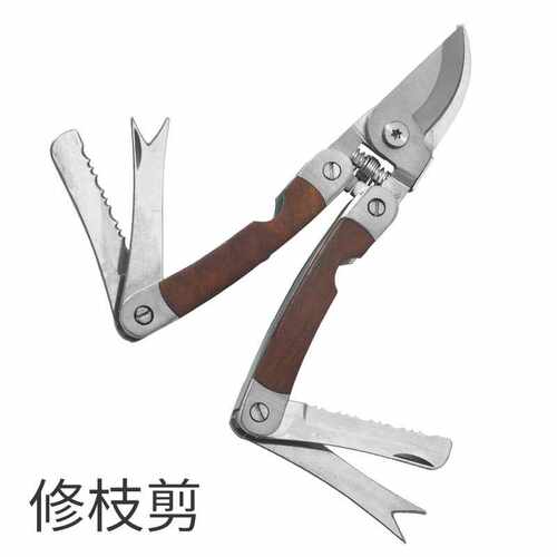 不锈钢园林修枝剪园艺果枝剪花园剪刀户外盘景工具摘果剪盆景