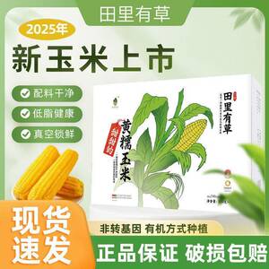 田里有草甜糯玉米12根正宗东北吉林黄苞米新鲜营养粗粮早餐旗舰店